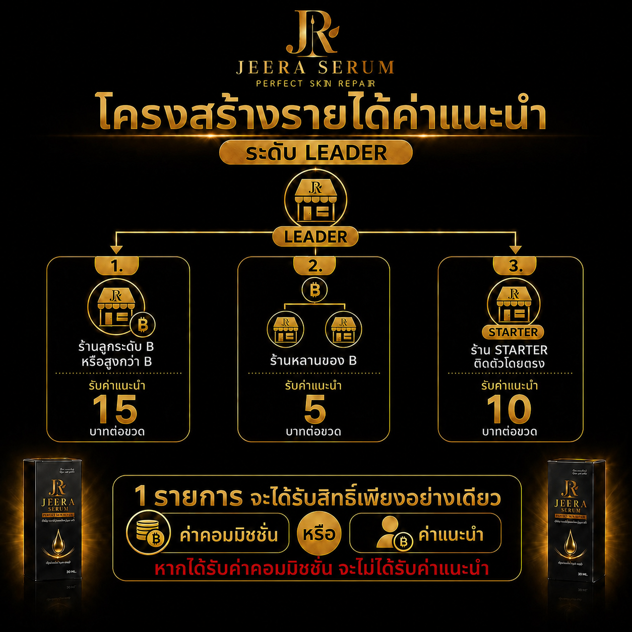 แผนรายได้ รูปที่ 4
